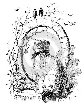 Picture of a cat looking at mirror with two birds on it made by Eugene Lambert in the old book Artistes Modernes, by Goupil, 1881 photo
