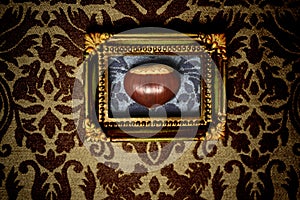 Picture of a chestnut