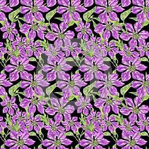 A picture of clematis flowers. Theme of summer. Abstraction.