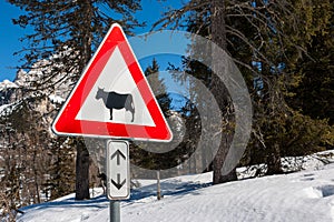 Cow traffic european sign red triangle with mountains on background . Beware of the cow. A warning sign with cattle on european