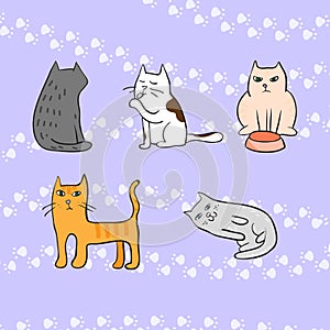 Picture with cute cats with footprints on the background