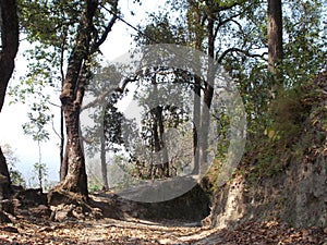 The road of boxa fort photo