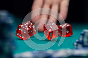 Picture of dice, chips, palm in casino on green table