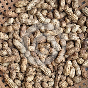 A picture of Dried peanuts.