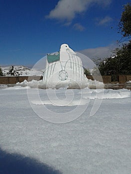 Picture of an eagle you urged on snow