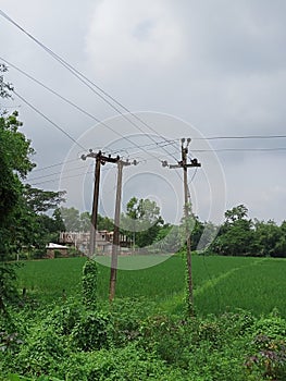 A picture of an electric pole in the village