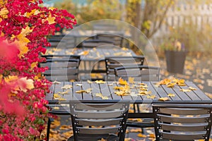 Picture of empty autumn cafe with red and yellow leaves