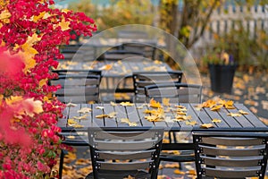 Picture of empty autumn cafe with red and yellow leaves