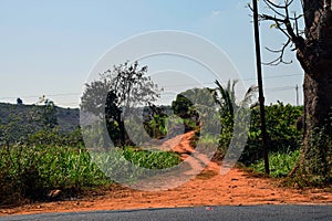 Picture of empty road Indian in forest area