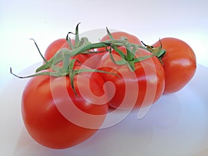 Tomato