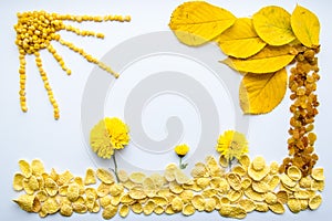 Picture of food, flowers and leaves on a white background