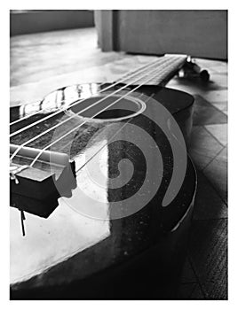 Picture of a four stringed instrument, ukulele