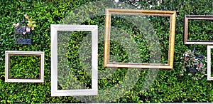 Picture frame and flower pot hanging on green leaves wall for decoration festival, event or wedding party