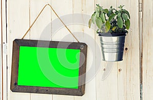 Picture frame green screen and pot plant on wooden surface. PNG available