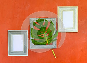 Picture frame with leaves hanging on the wall, home decoration..