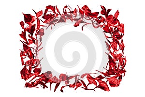 Picture frame made of red flower petals white background isolated close up, decorative floral border, foliage pattern, red leaves