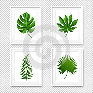 Picture Frame With Palms Leaves Isolated