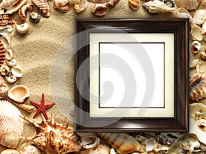 Picture frame on shells and sand background