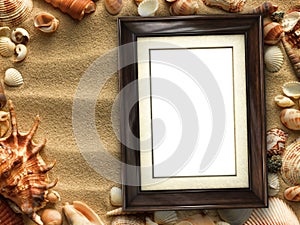 Picture frame on shells and sand background