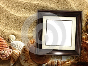 Picture frame on shells and sand background