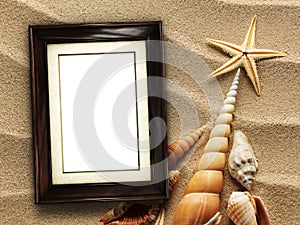 Picture frame on shells and sand background
