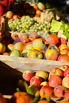 Picture of fresh fruits and vegitables at market in boxes