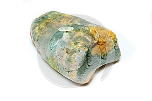 The picture of a fully mouldy bread