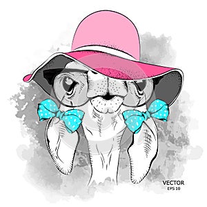 Picture of a funny roe deer in a hat. Vector illustration