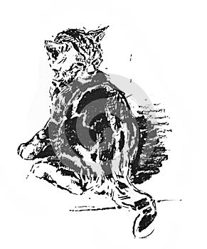 Picture of a gloomy cat in the old book Artistes Modernes, by Goupil, 1881, Paris