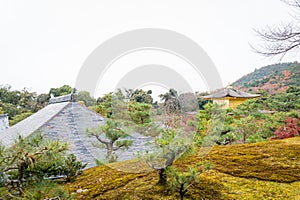 picture of golden pagoda in the garden with green tree at Kinkakuji Temple, Kyoto, Japan.