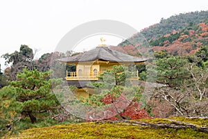 picture of golden pagoda in the garden with green tree at Kinkakuji Temple, Kyoto, Japan.