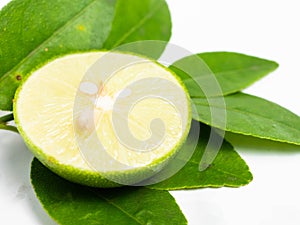 Picture of green citrus with leafs on a white isolated background