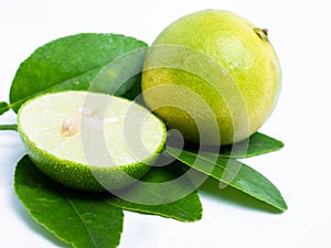 Picture of green citrus with leafs on a white isolated background