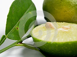 Picture of green citrus with leafs on a white isolated background