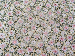 Handrawn Floral Pattern photo