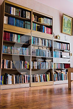The picture hangs on a white wall next to which there is a brown wooden cabinet with books lying inside and standing on the brown
