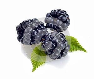 A picture of a heap of ripe, juicy, natural blackberries, isolated on a white background