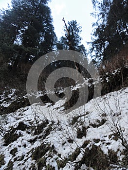 Picture of hills and valleys in himachal pradesh