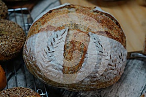 Picture Homemade sourdough bread food photography recipe idea