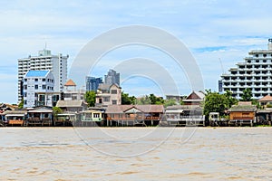 Picture of the houses along the Chao Phraya River.