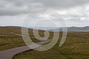 A picture the incredible Shetland Moorland, Hermaness national nature reserve