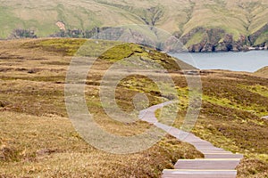 A picture the incredible Shetland Moorland, Hermaness national nature reserve