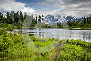 Picture Lake is the centerpiece of a strikingly beautiful landscape in the Heather Meadows area of Mt. Baker, WA. photo