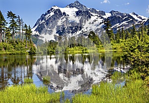 Picture Lake Evergreens Mount Shuksan Washington USA photo