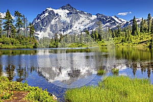 Picture Lake Evergreens Mount Shuksan Washington USA