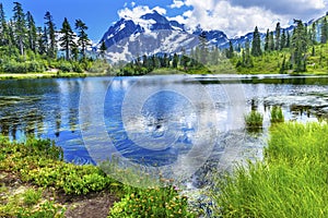 Picture Lake Evergreens Mount Shuksan Washington USA