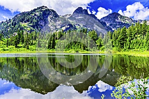 Picture Lake Evergreens Washington USA