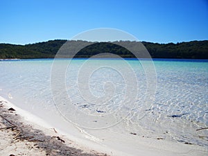 Landscape of Lake McKenzie, Fraser Island in Australia photo