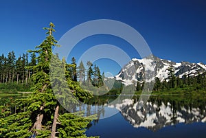 Picture lake and mt shuksan