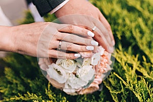 Picture of man and woman with wedding ring. Newly wed couple`s hands with wedding rings